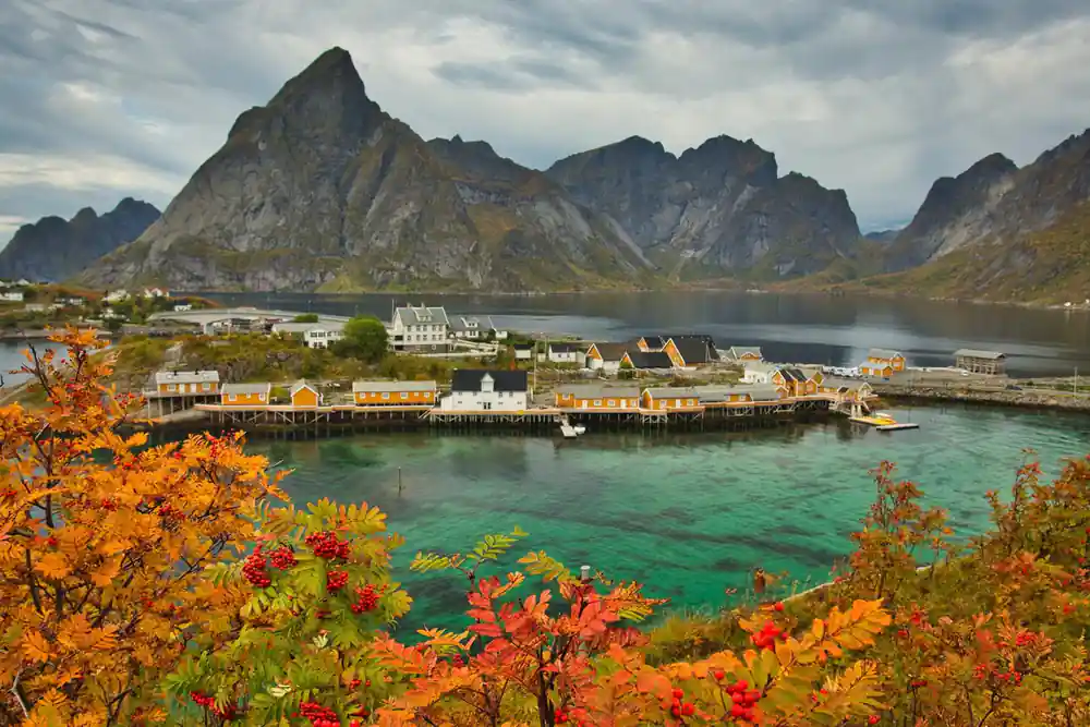 Coastal village with mountains and turquoise water, autumn flowers