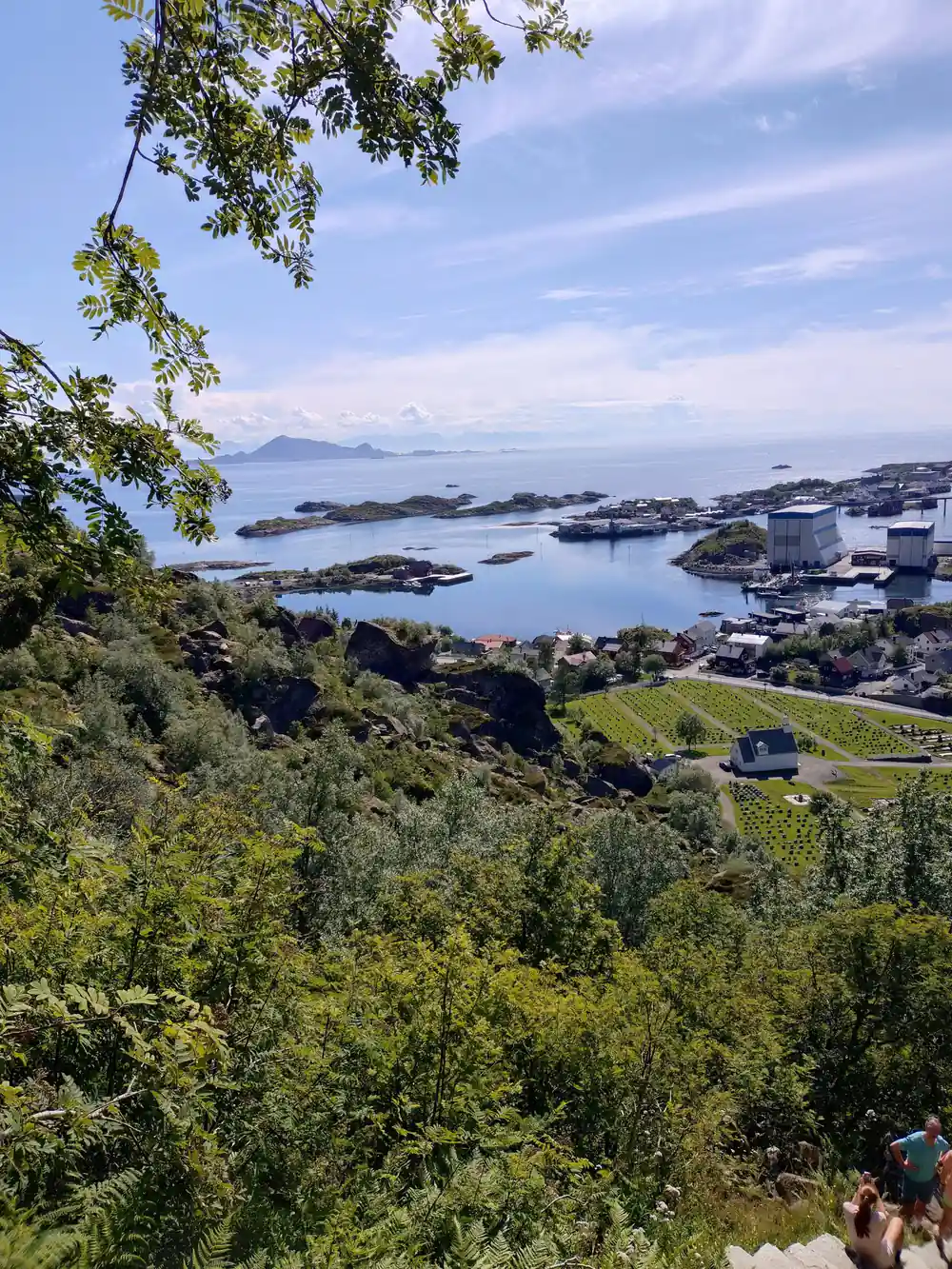 Elevated view of islands and houses among green vegetation