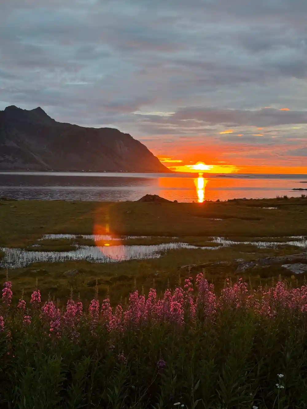 Orange sunset reflecting on water with purple flowers in foreground