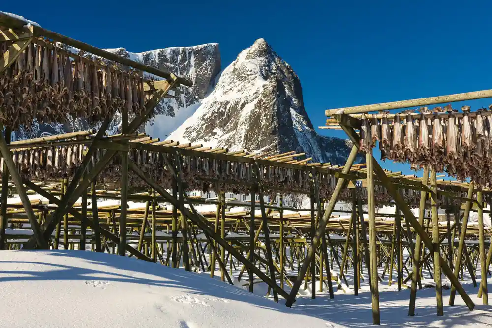 Wooden drying racks in snow with mountain peak behind