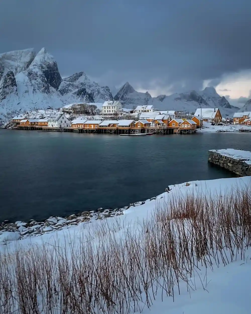 Yellow buildings and red boathouses on snowy fjord shore